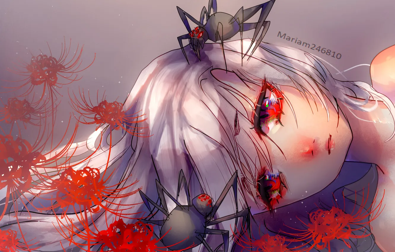 Фото обои девушка, паук, ликорис, mariam246810