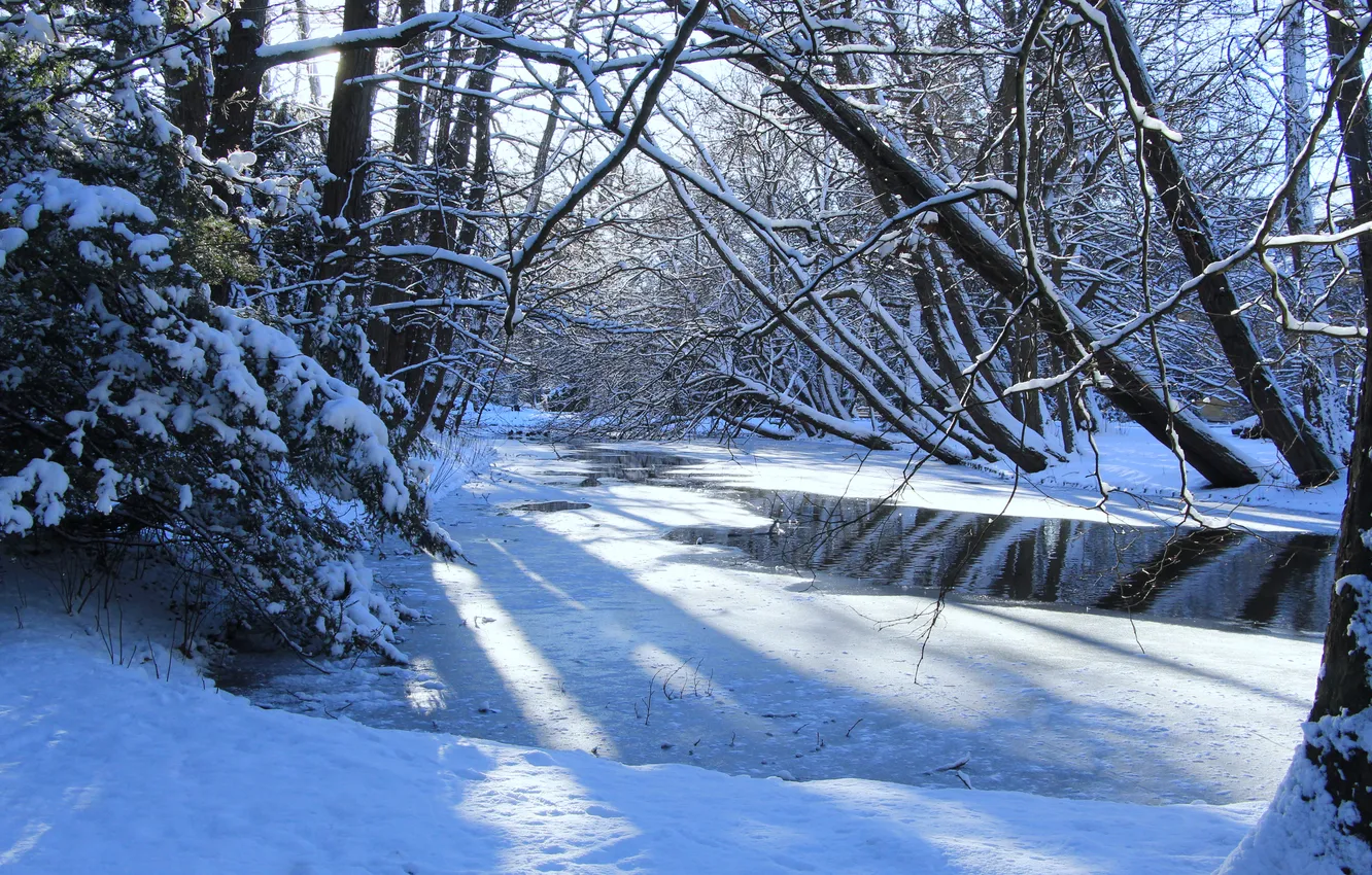 Фото обои ice, park, winter, lake, snow, sun, pond