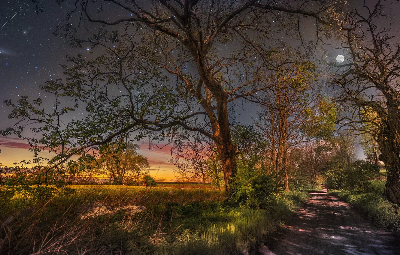 Фото обои дорога, поле, небо, деревья, пейзаж, природа, луна, звёзды