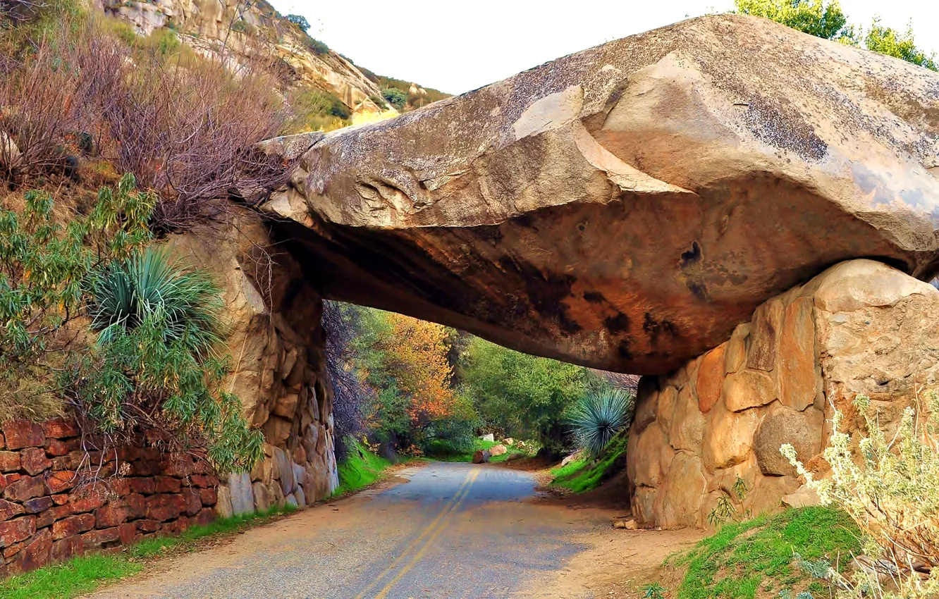 Фото обои дорога, камни, скалы, тоннель, сша, Sequoia National Park