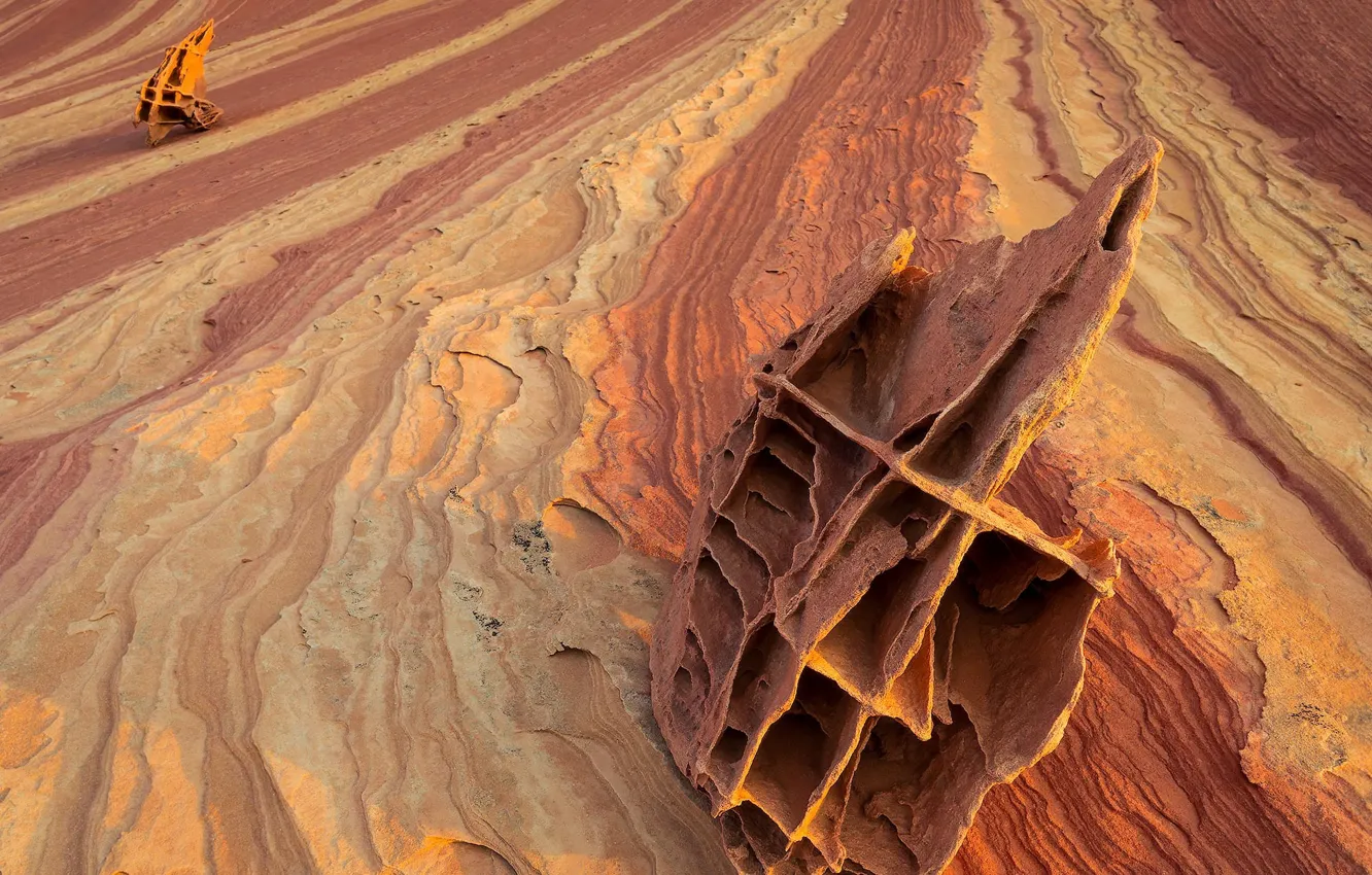 Фото обои arizona, North Coyote Buttes, rock house road, Boneyard