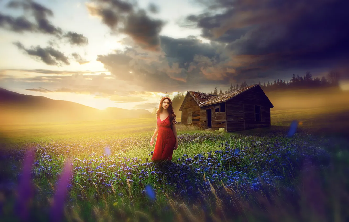 Фото обои поле, девушка, цветы, платье, луг, сарай, в красном, fine art