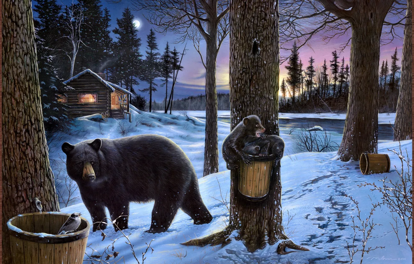 Фото обои зима, лес, природа, дом, река, луна, избушка, медведь