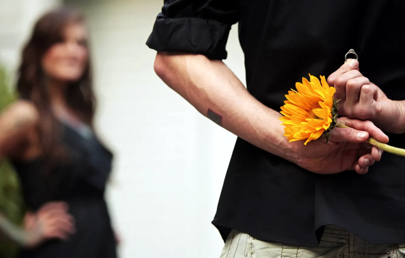 Фото обои цветок, девушка, ситуация, кольцо, парень