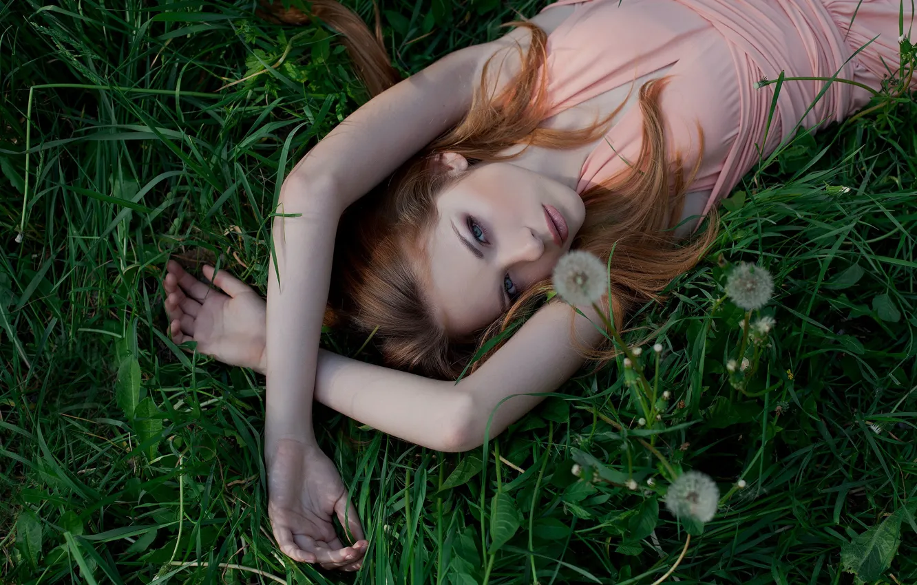 Фото обои трава, взгляд, девушка, природа, поза, милая, платье, блондинка