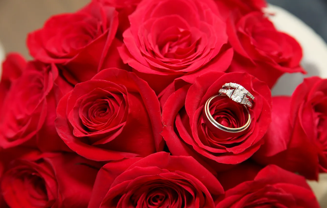 Фото обои красный, праздник, розы, кольца, свадьба