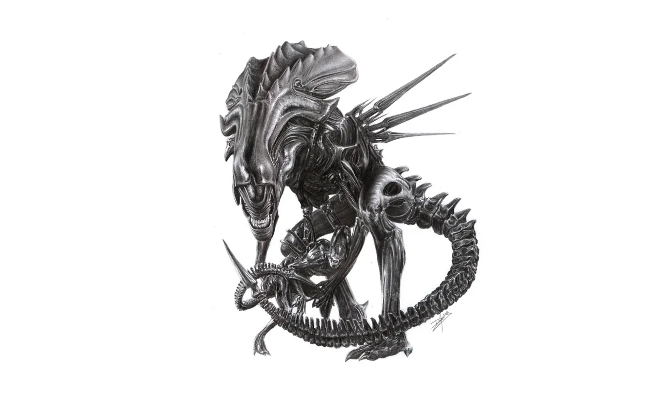 Фото обои рисунок, Чужой, пришелец, карандаш, alien