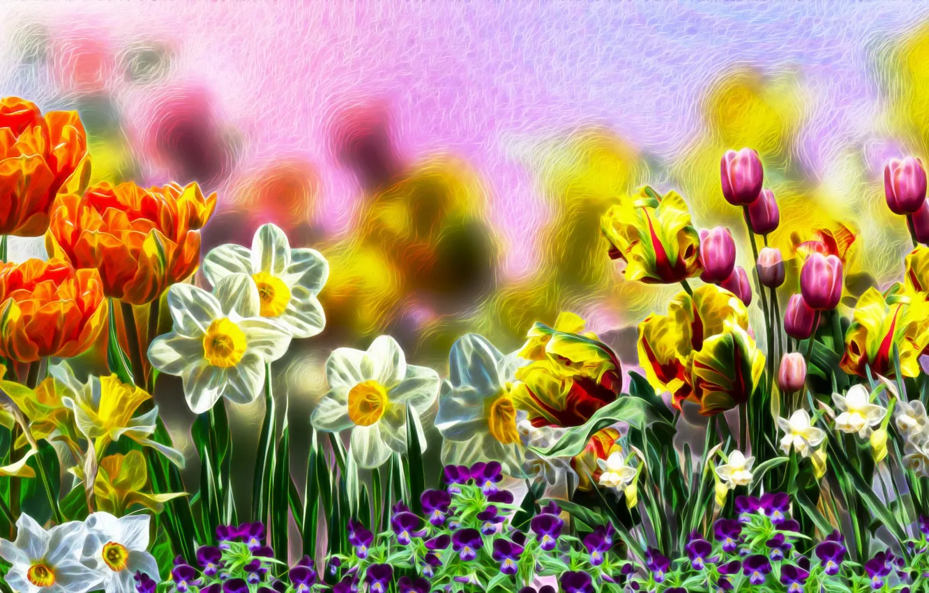 Фото обои Tulipany, Kwiaty, Bratki