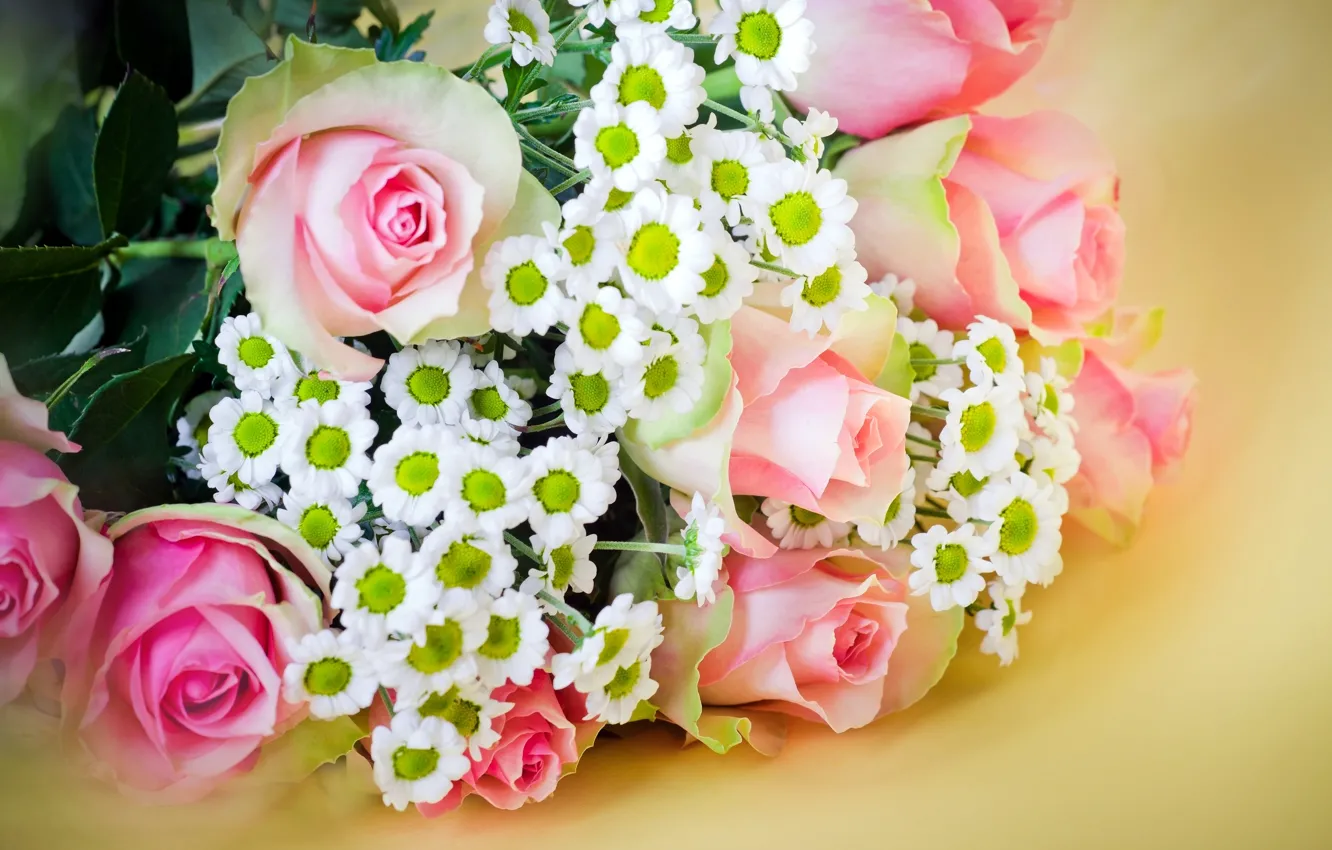 Фото обои цветы, розы, букет, размытие, хризантемы, pink, roses, chrysanthemum