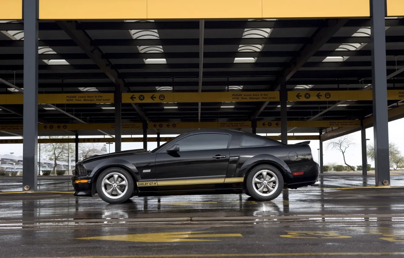 Фото обои Mustang, Shelby, GT500