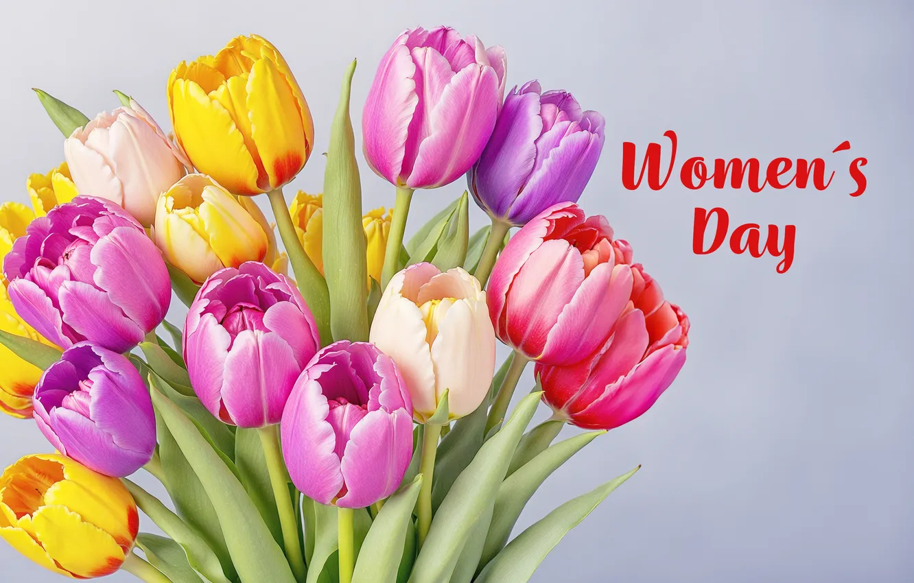 Фото обои цветы, букет, colorful, тюльпаны, happy, 8 марта, flowers, tulips