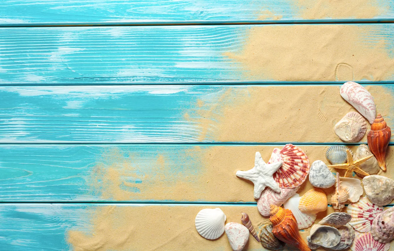 Фото обои песок, пляж, ракушки, beach, wood, sand, marine, still life