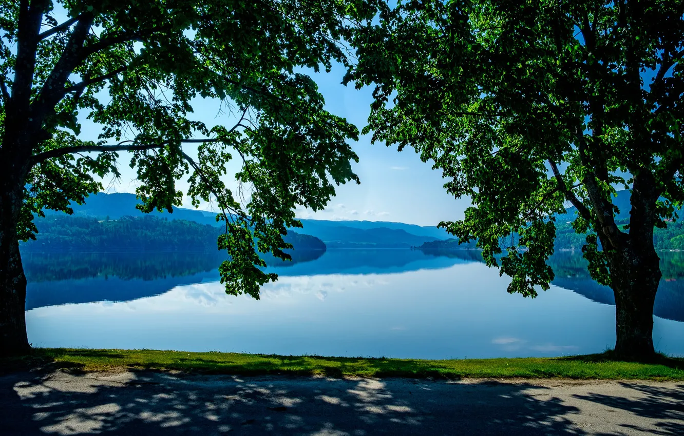 Фото обои дорога, деревья, озеро, Норвегия, Norway, Heddalsvatnet Lake, Telemark, Телемарк