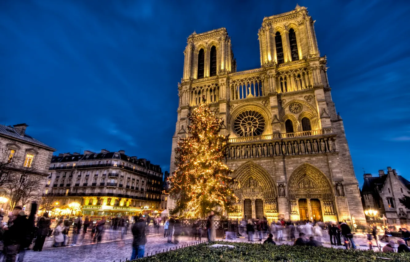 Фото обои праздник, Франция, Париж, елка, Новый Год, площадь, Собор Парижской Богоматери, Notre Dame de Paris