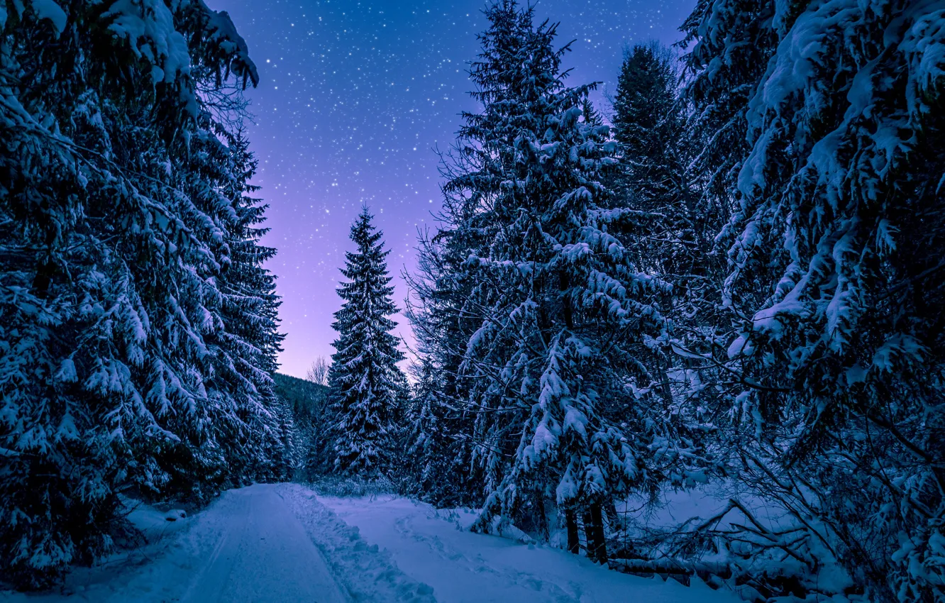 Фото обои зима, дорога, снег, деревья, пейзаж, природа, утро, ели