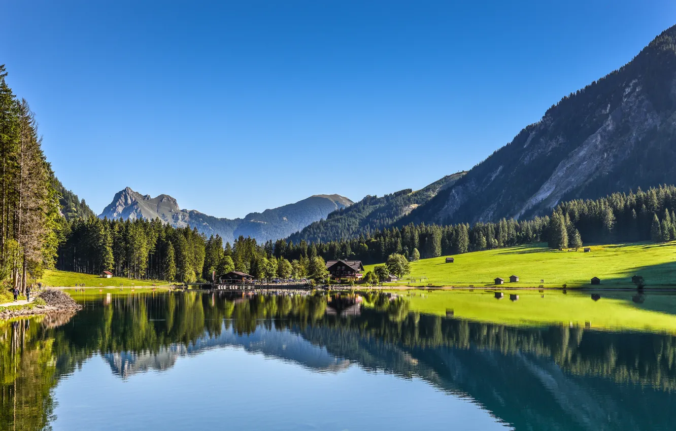 Фото обои лес, горы, озеро, отражение, Австрия, Austria, Тироль, Tyrol