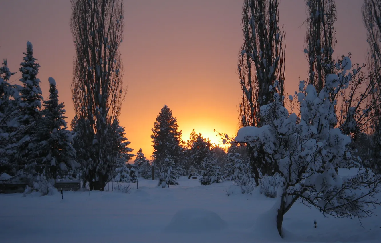 Фото обои Winter, Frost, Sunset, Snow
