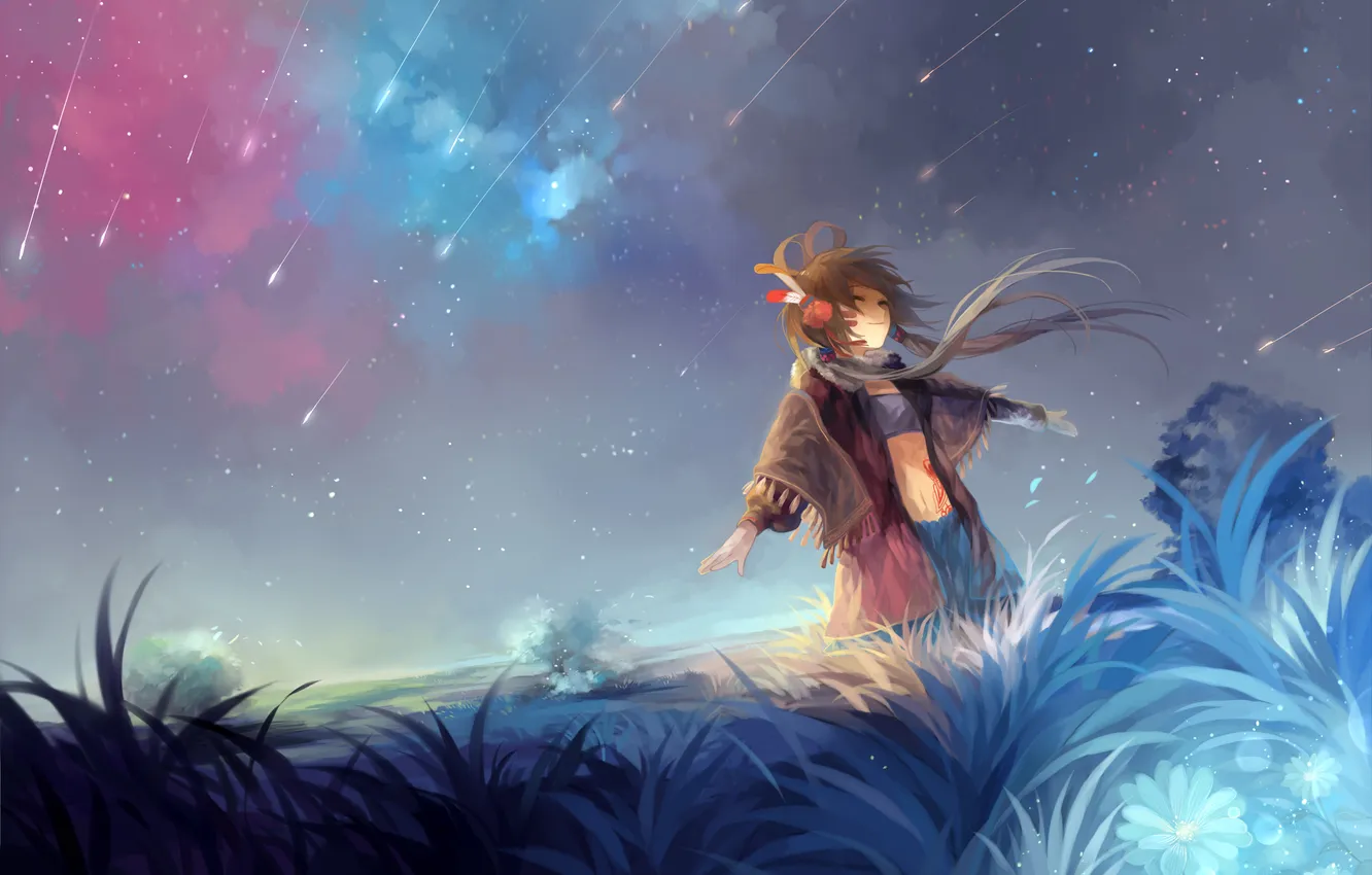 Фото обои трава, звезды, ночь, ветер, арт, девочка, vocaloid, luo tianyi