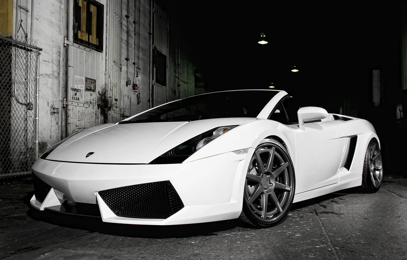 Фото обои белый, Lamborghini, white, родстер, Gallardo, ламборджини, галардо