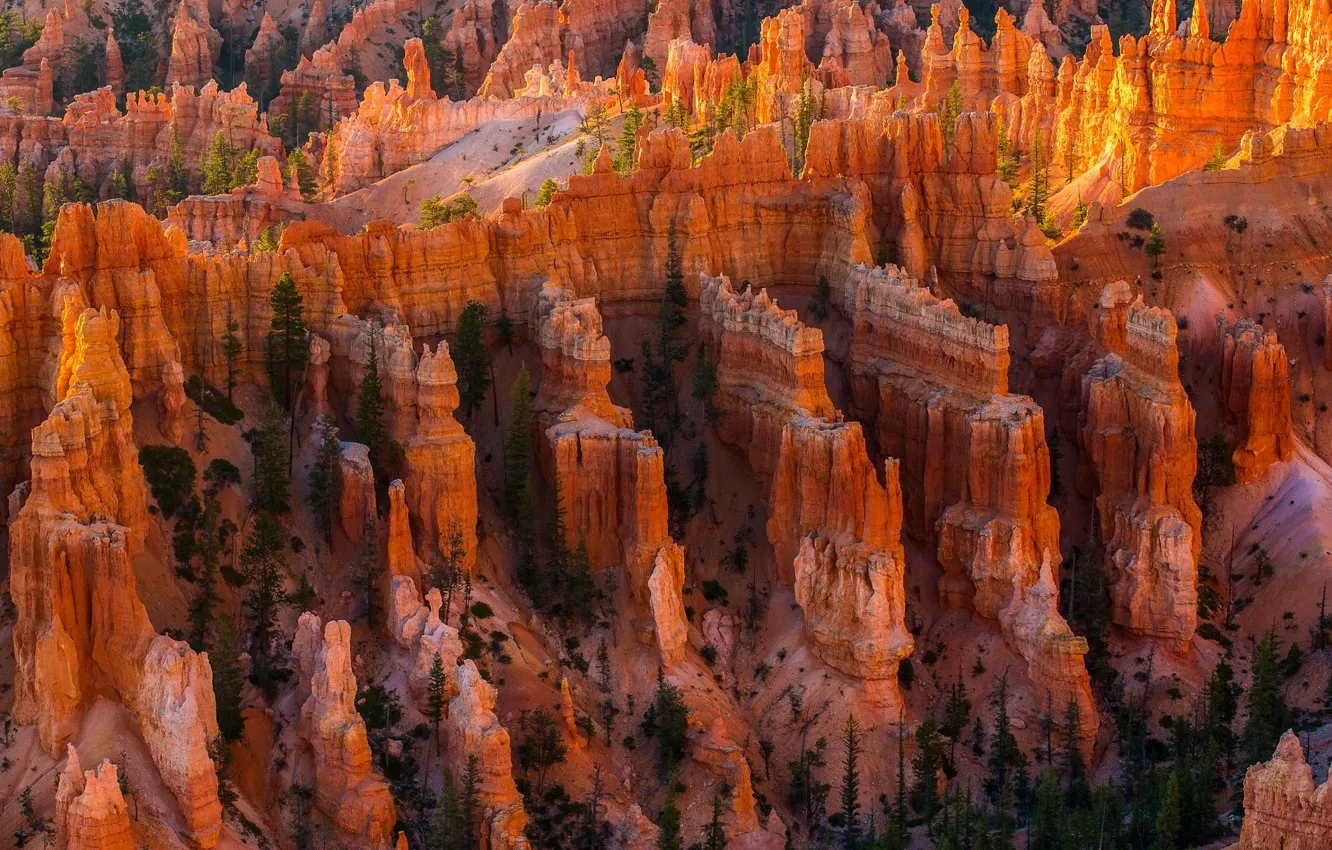 Фото обои скалы, долина, каньон, США