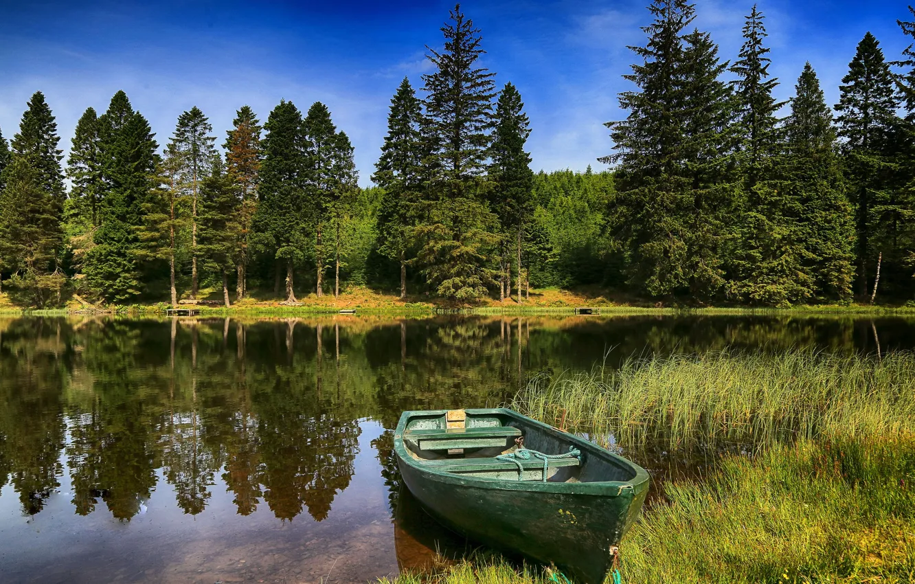 Фото обои лес, лето, деревья, отражение, река, лодка