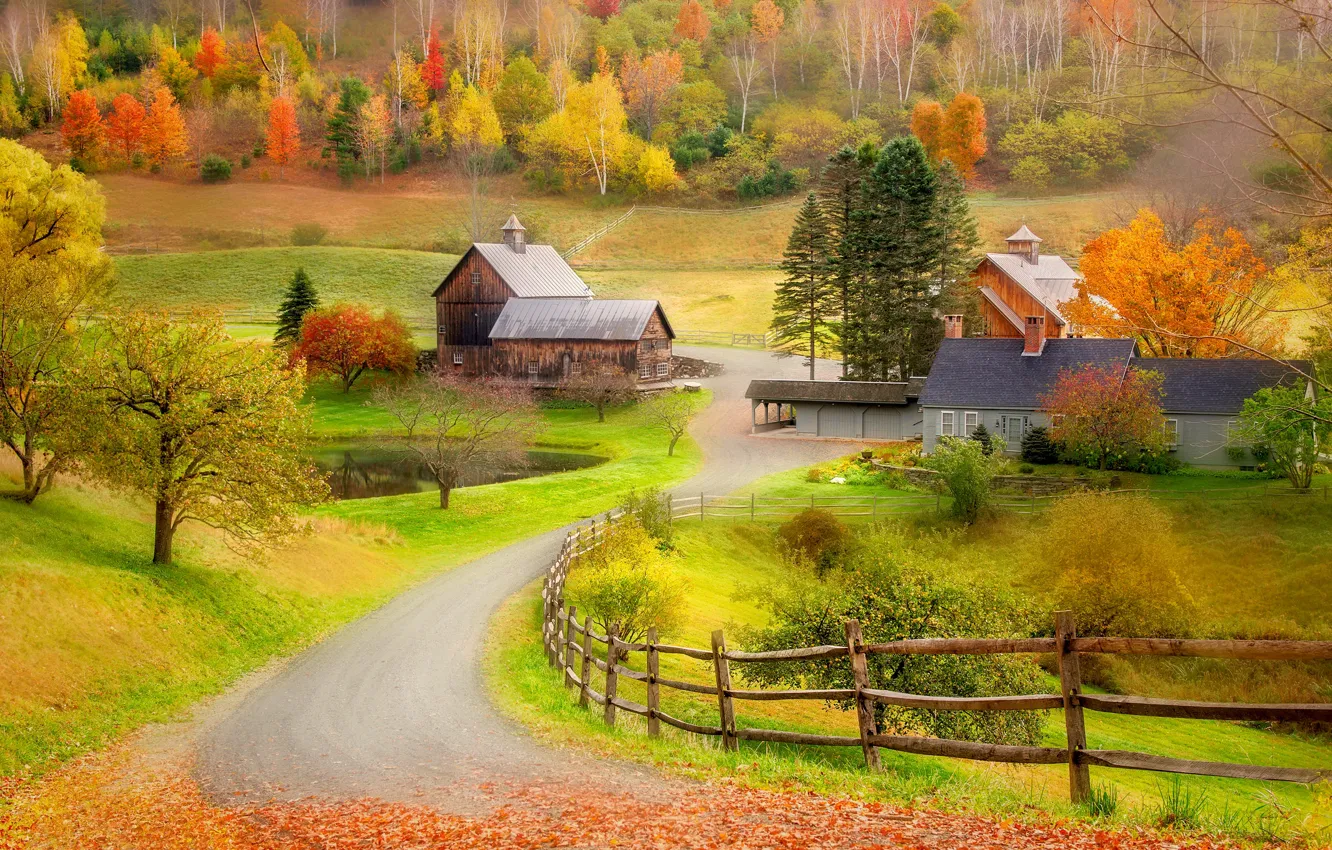 Фото обои осень, лес, деревья, природа, забор, дома