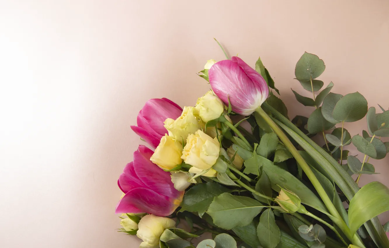 Фото обои цветы, розы, тюльпаны