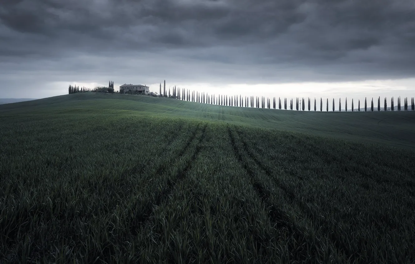 Фото обои поле, природа, Tuscany