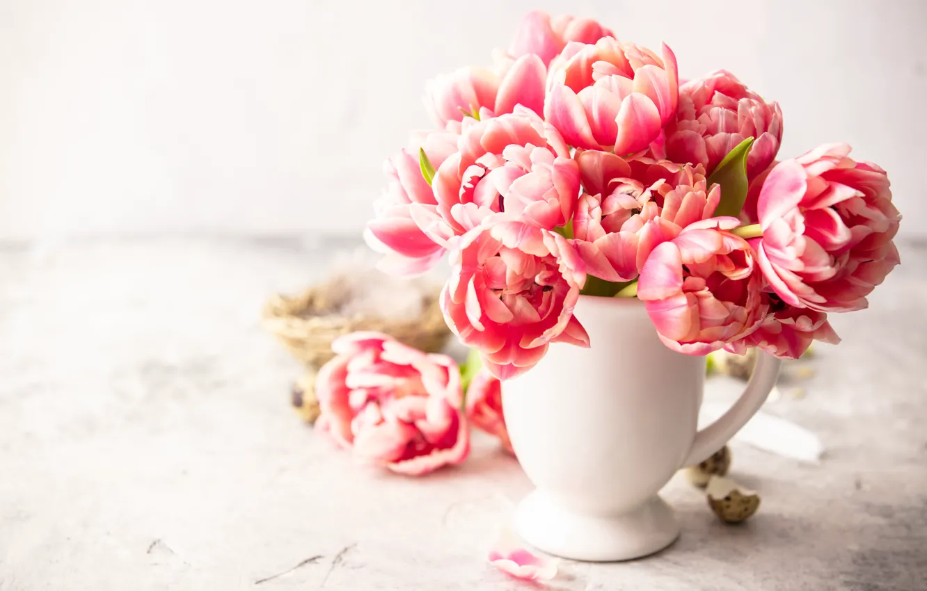Фото обои цветы, тюльпаны, ваза, Iryna Melnyk