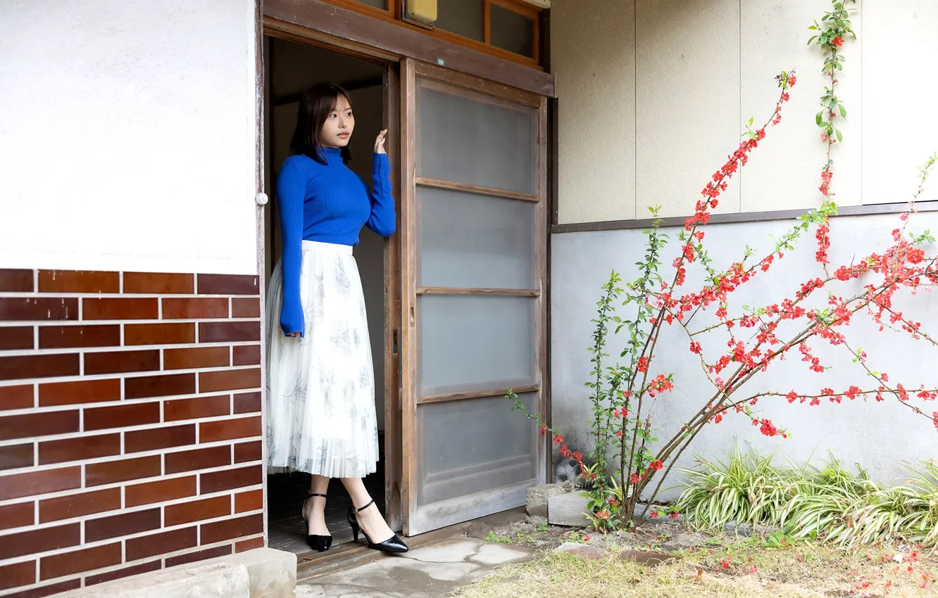 Фото обои Asian, Model, Woman, Japanese, Minka, Ai Hongo