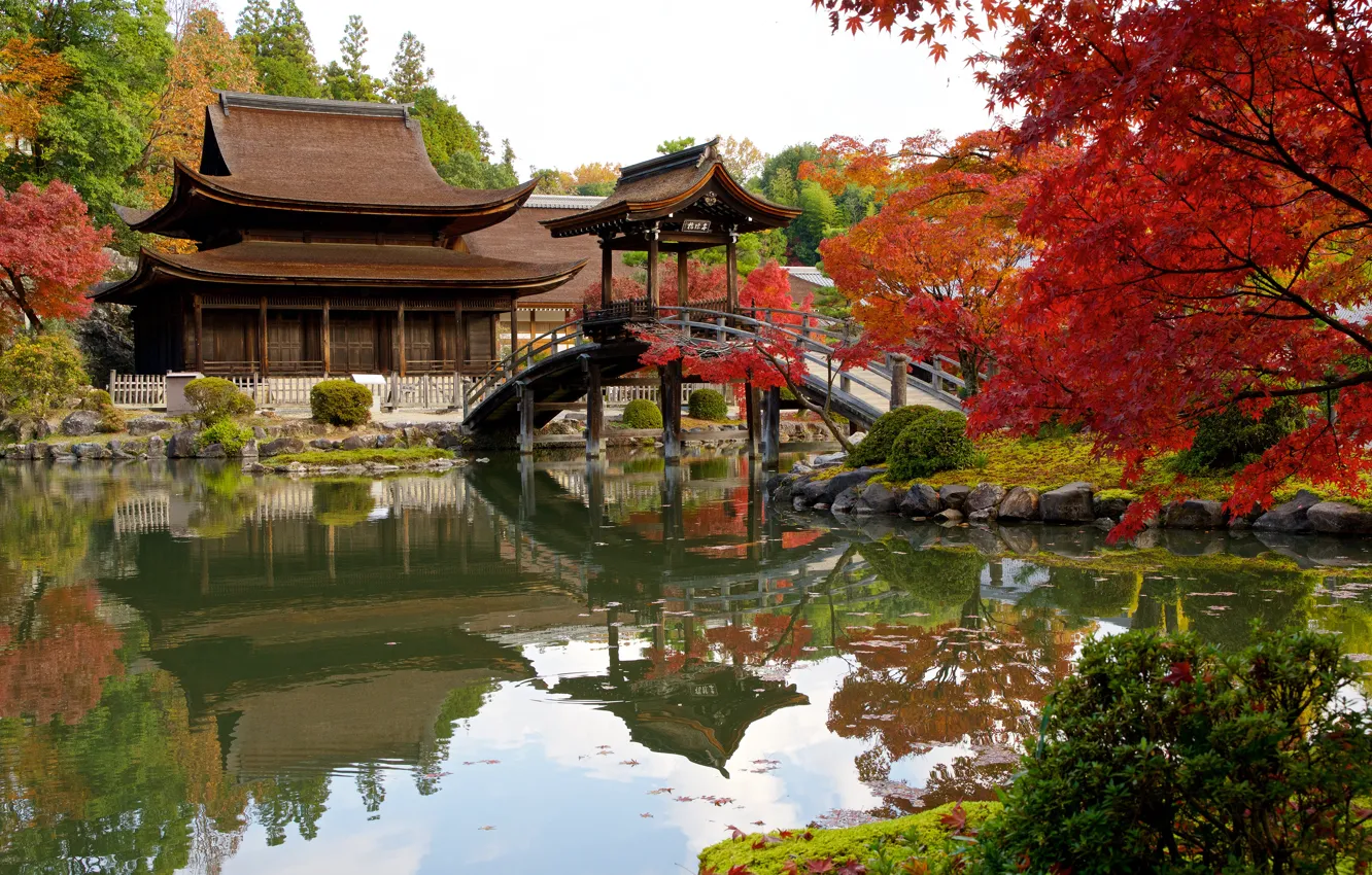 Фото обои крыша, осень, деревья, уют, озеро, дом, пруд, стиль