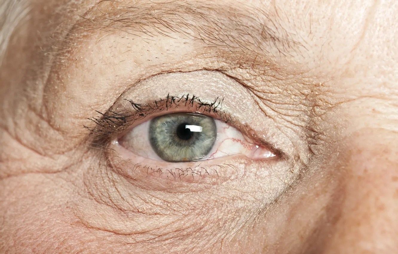 Фото обои eye, wrinkles, grandmother, elderly