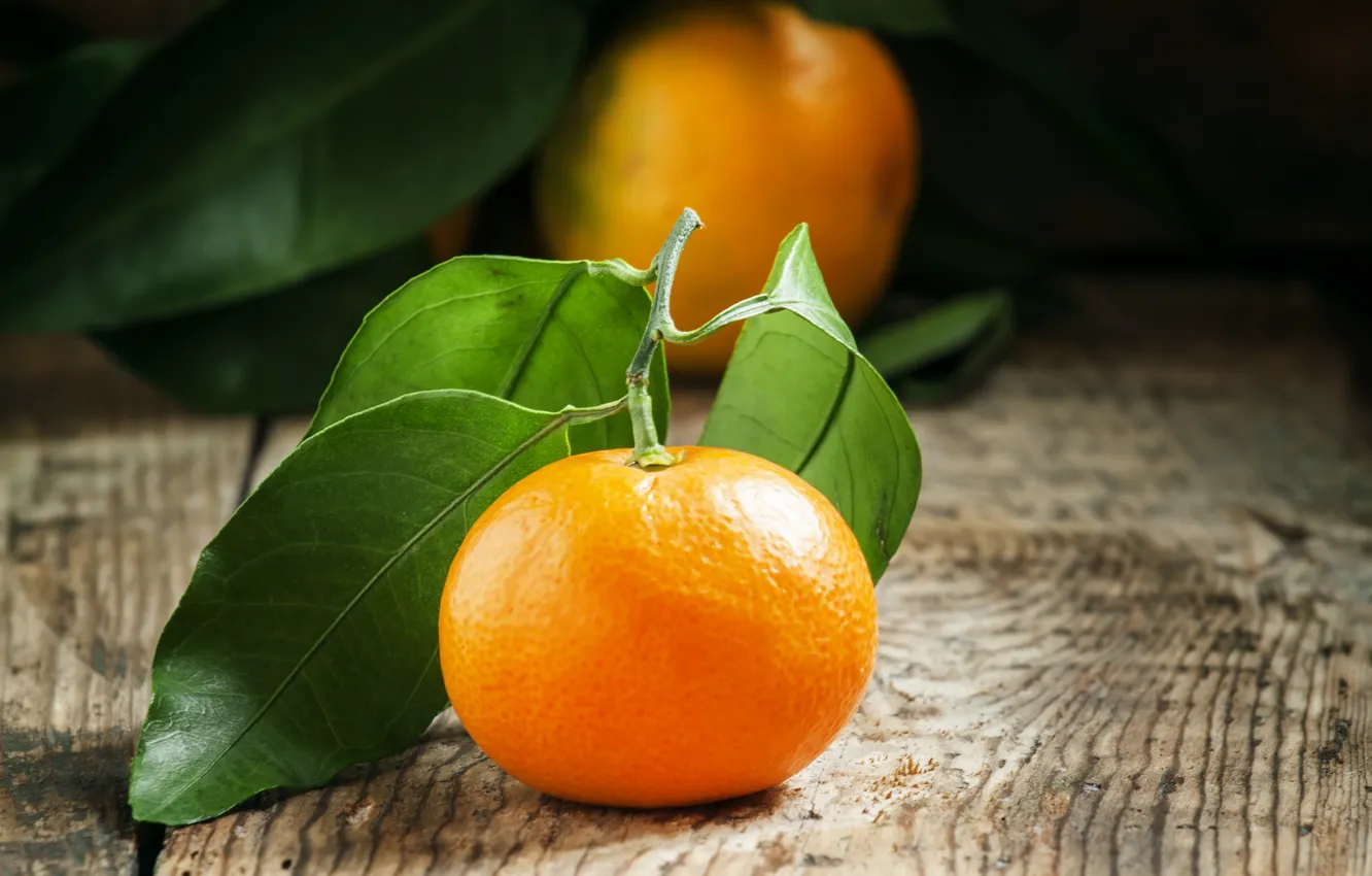Фото обои листья, цитрус, мандарины