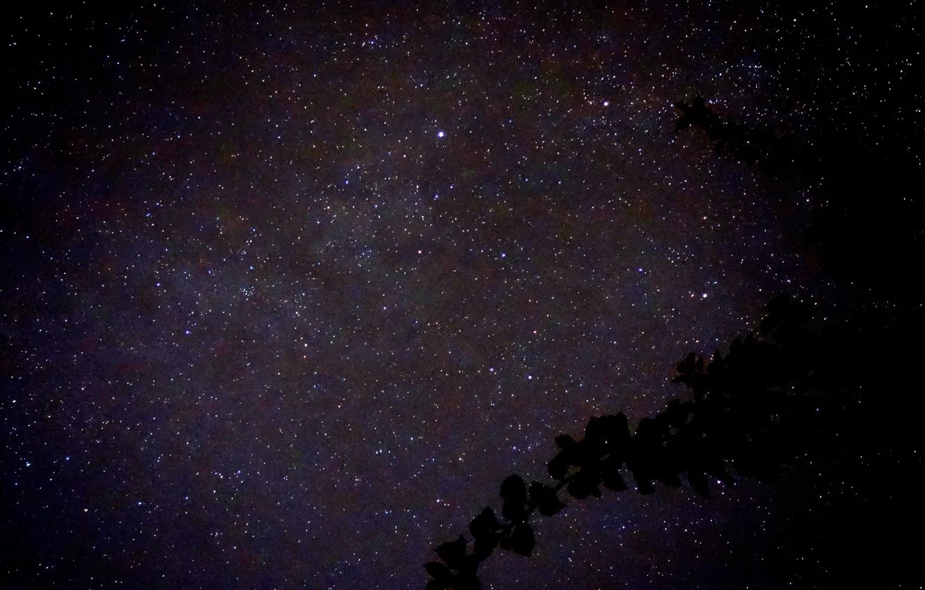 Фото обои небо, звезды, ночь
