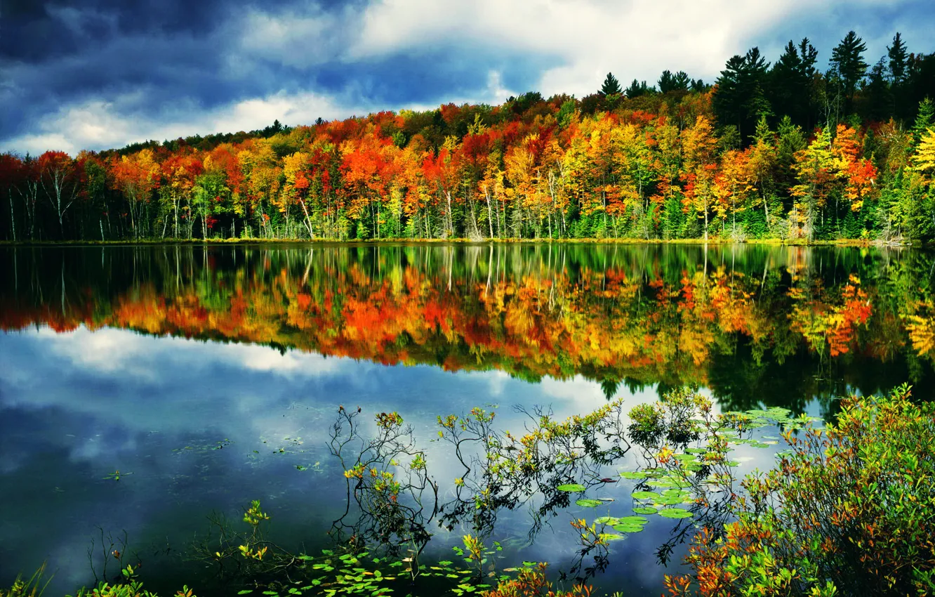Фото обои осень, лес, небо, облака, озеро