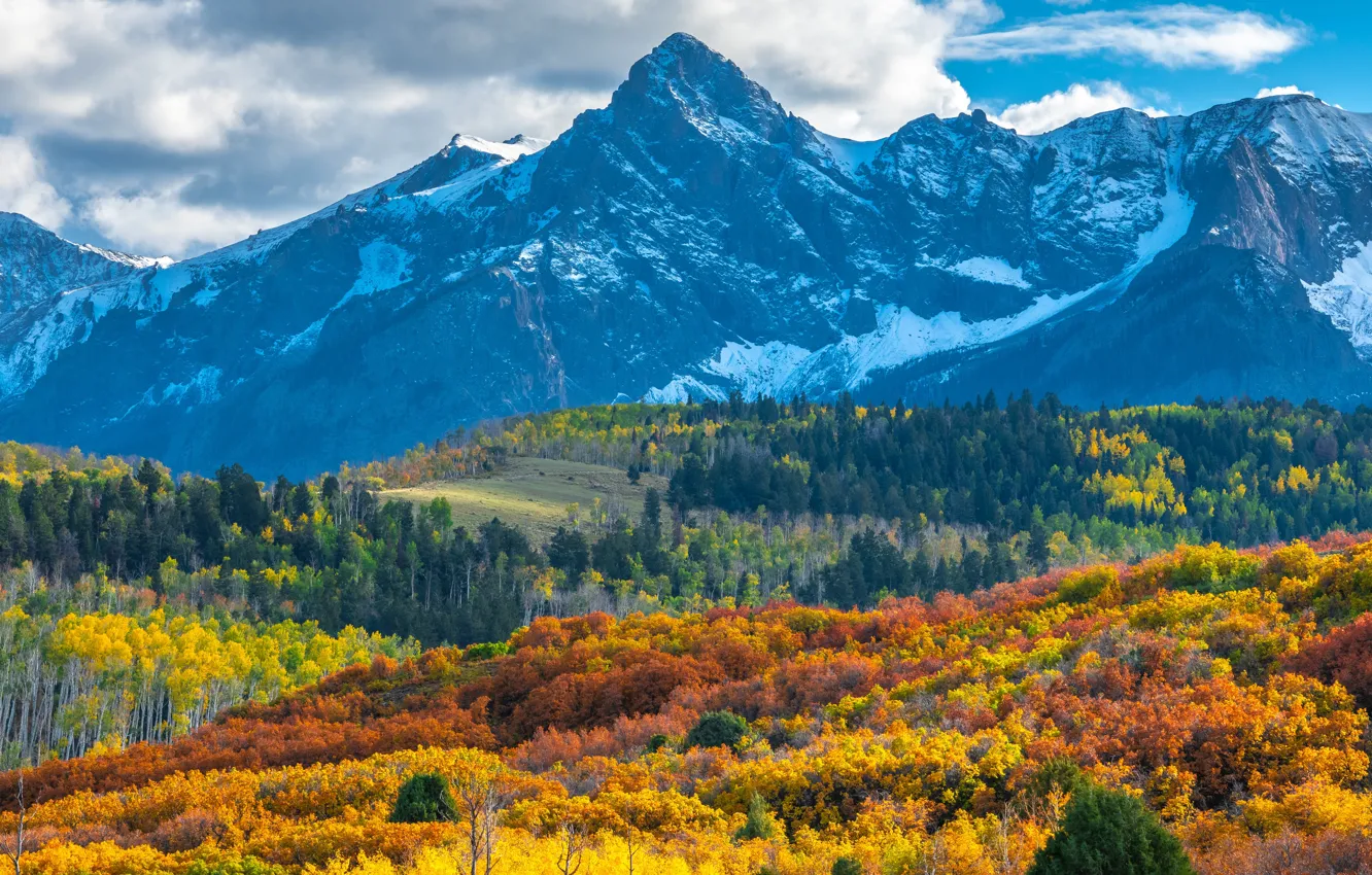 Американские горы панорама