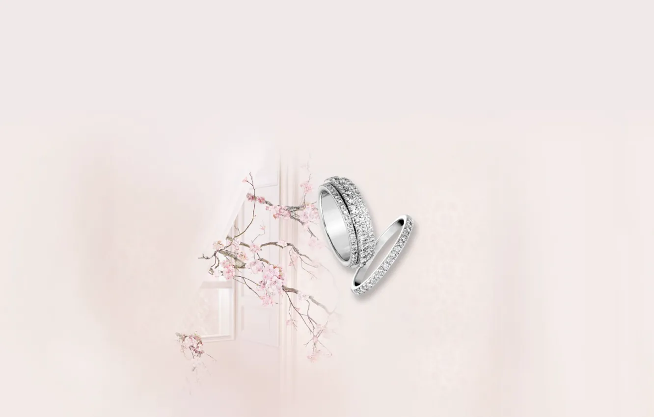 Фото обои розовый, коллаж, нежность, кольца, свадьба
