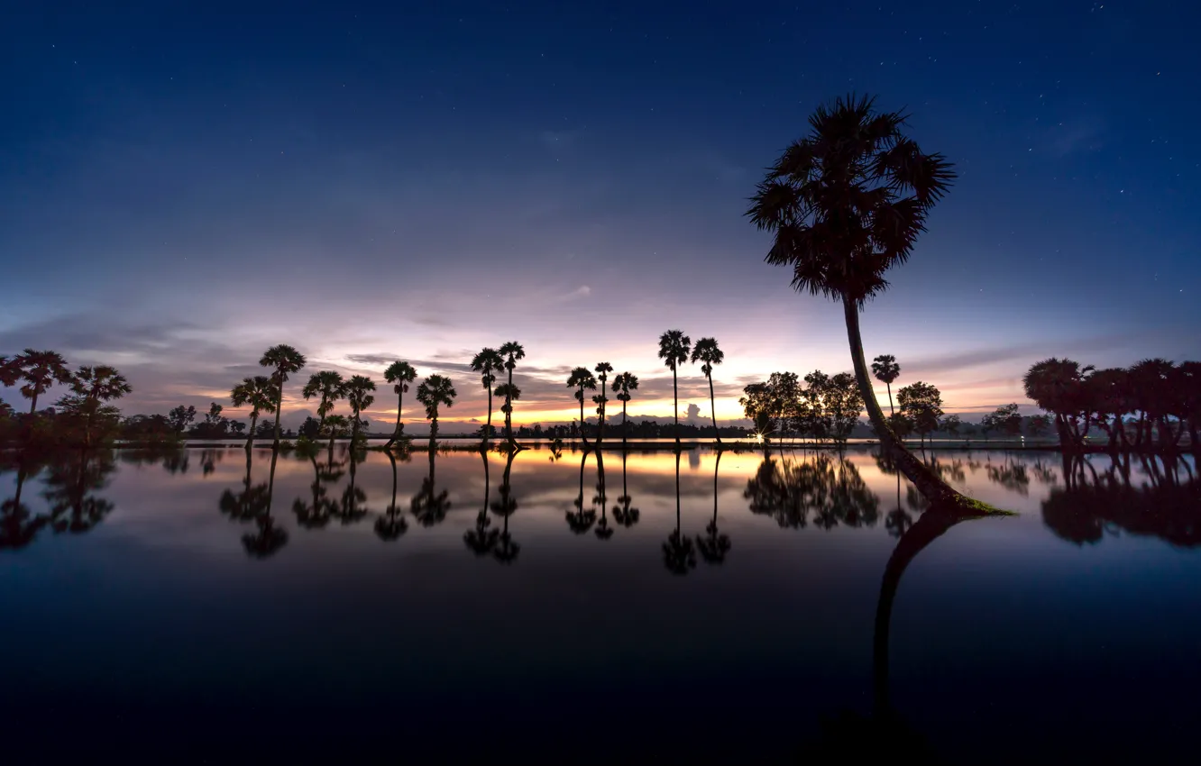 Фото обои пальмы, вечер, отражение в воде, evening, palm trees, Reflection in the water