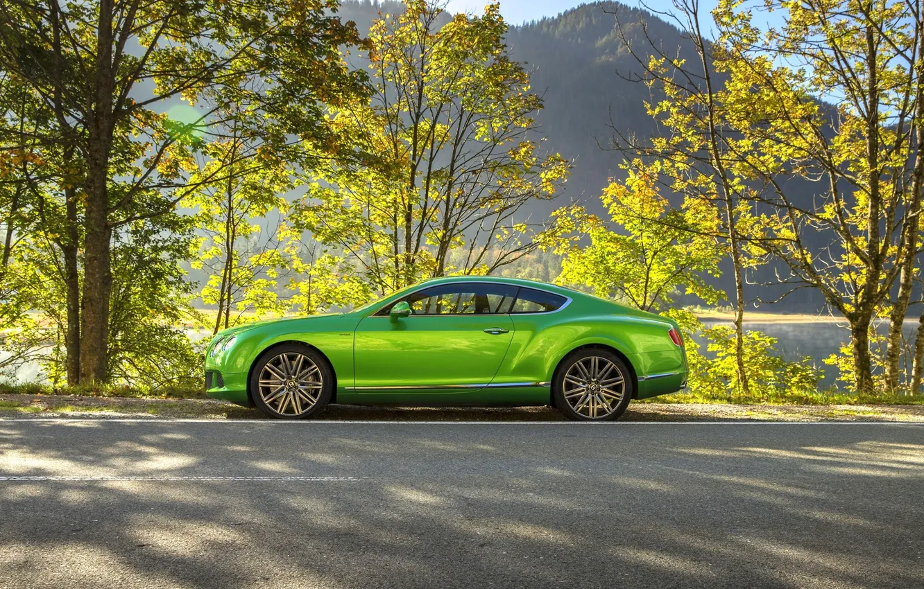 Фото обои Bentley, Continental, Деревья, Зеленый, Автомобиль, Люкс, Вид сбоку