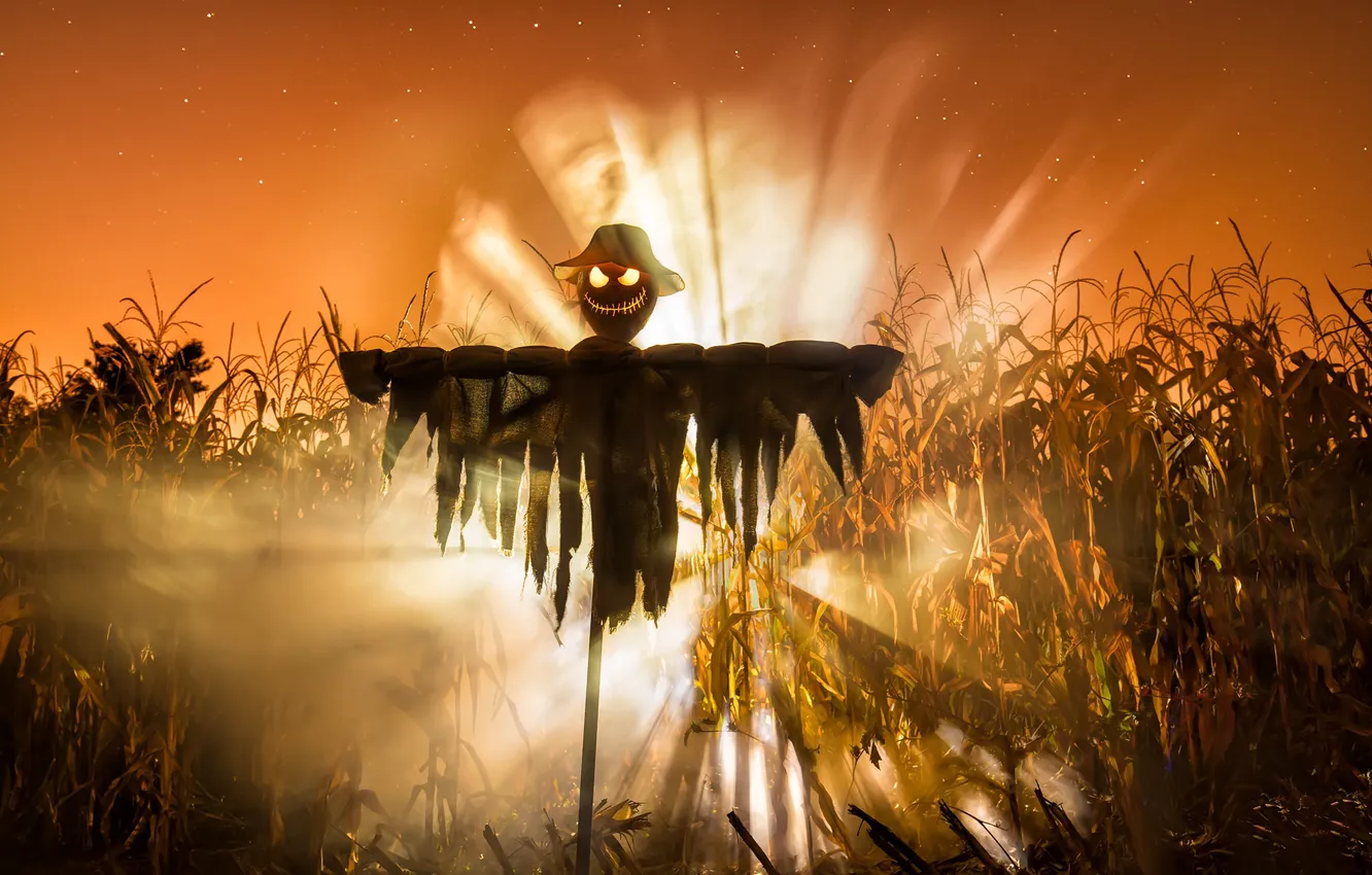 Фото обои праздник, Halloween, Lord of the Corn