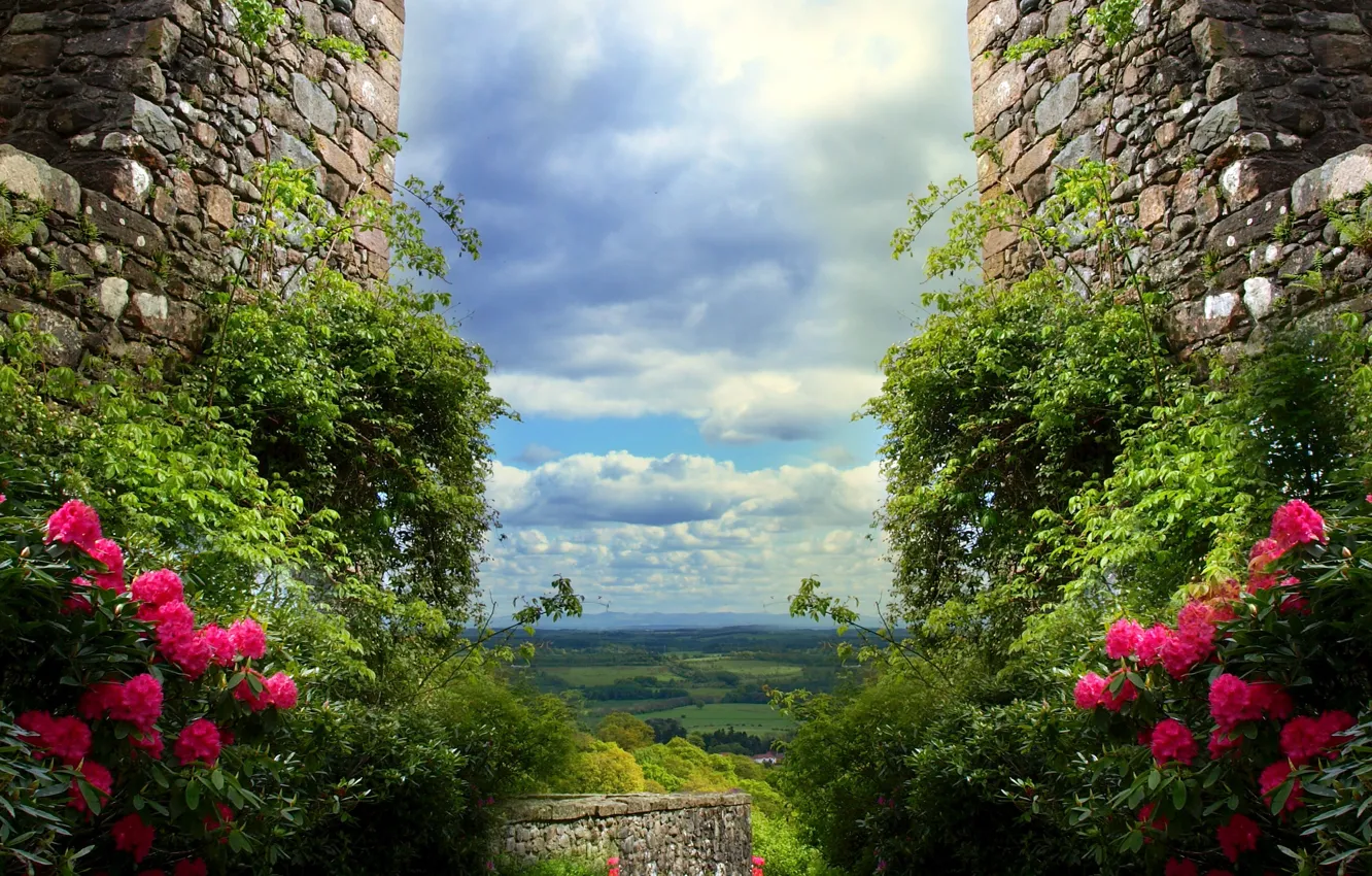 Фото обои небо, облака, цветы, стены, Природа, руины, sky, landscape