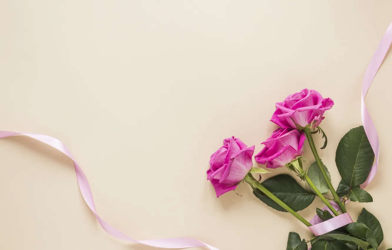 Фото обои фон, розовый, розы, букет, лента