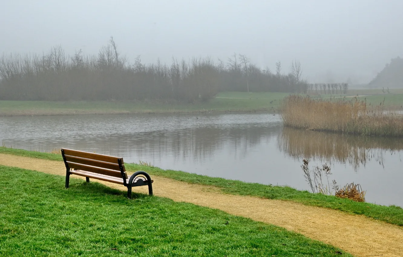 Фото обои трава, туман, лавочка, канал, Парк, скамья