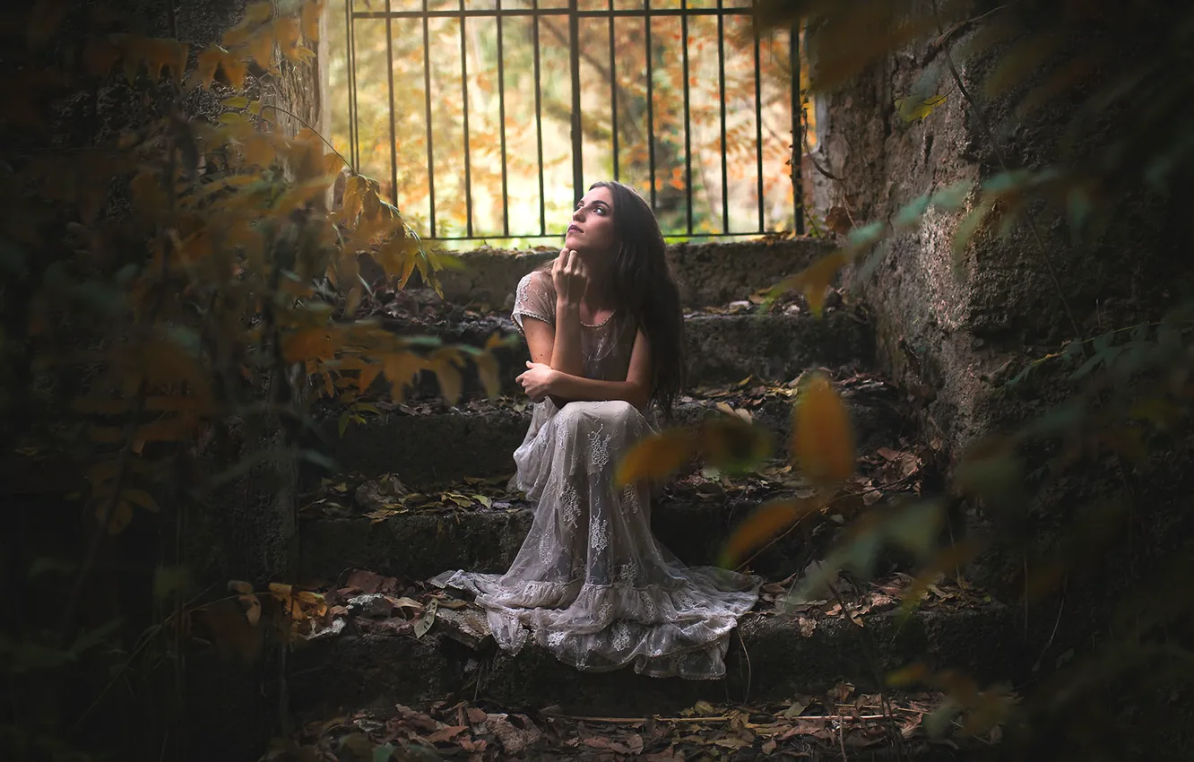 Фото обои осень, листья, девушка, настроение, листва, ситуация, платье, лестница