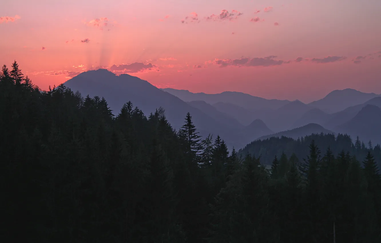 Фото обои лес, небо, облака, деревья, горы, природа, рассвет, Австрия