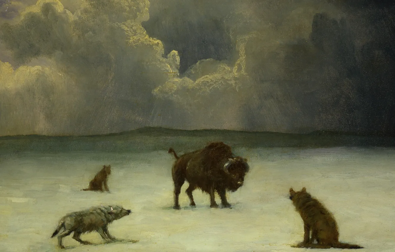 Фото обои животные, волк, картина, бизон, Альберт Бирштадт, В Западне
