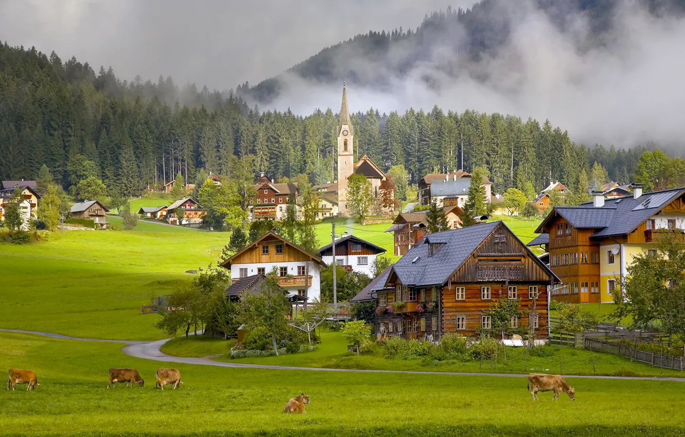 Фото обои дома, Австрия, коровы, деревня, Austria, Gosau Village