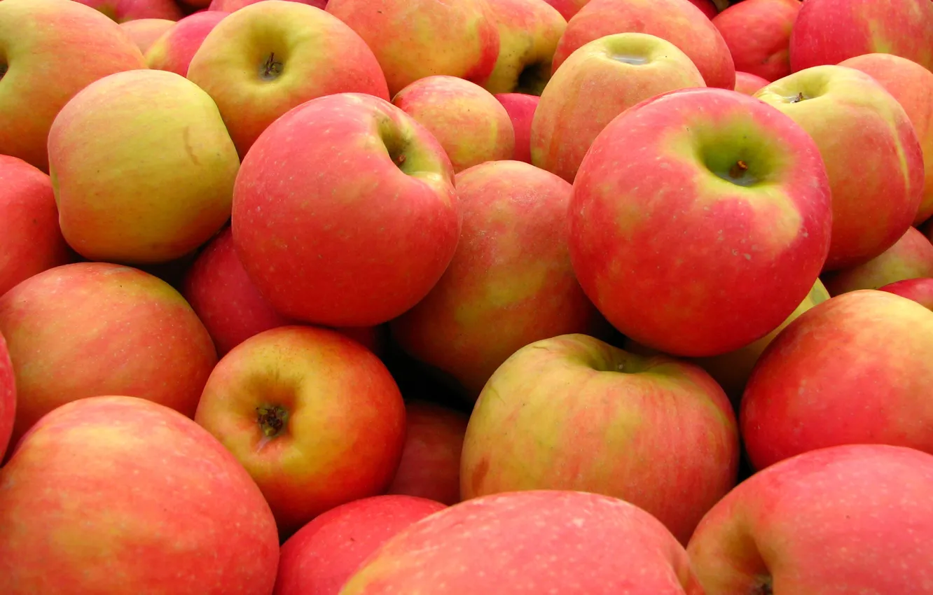 Фото обои яблоки, текстура, урожай, фрукты