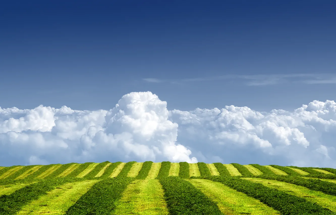 Фото обои поле, лето, небо, трава, облака