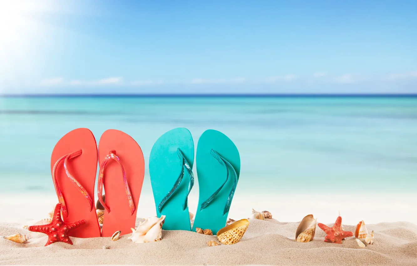Фото обои песок, море, пляж, лето, солнце, ракушки, summer, beach